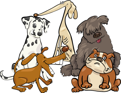 Sozialisierungsgruppen